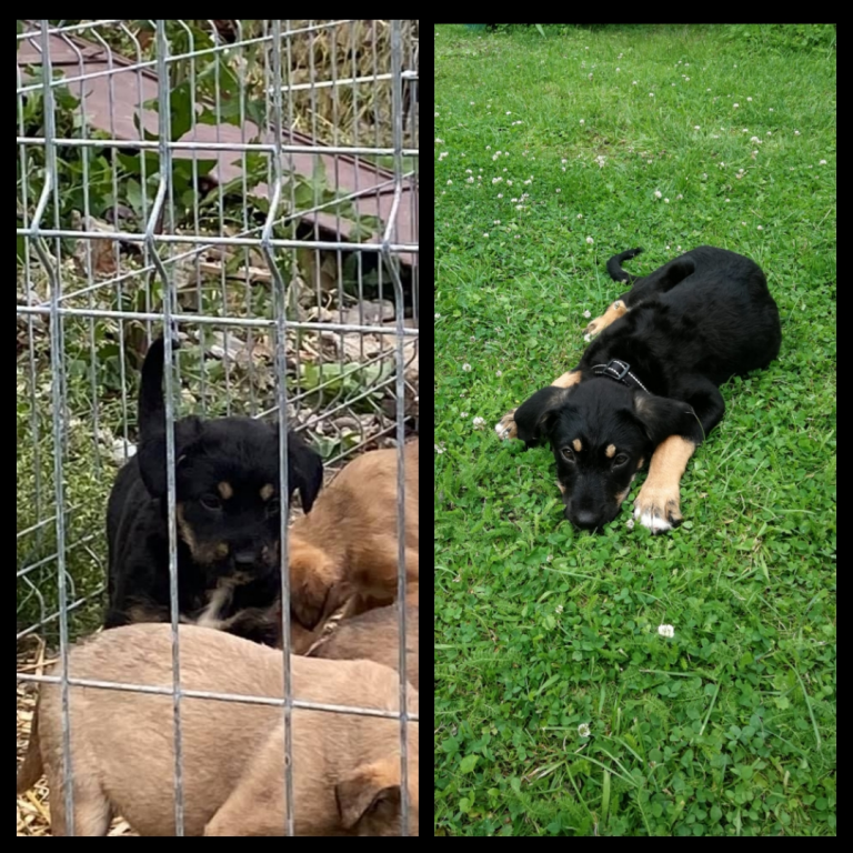 Marie, jetzt Pepper