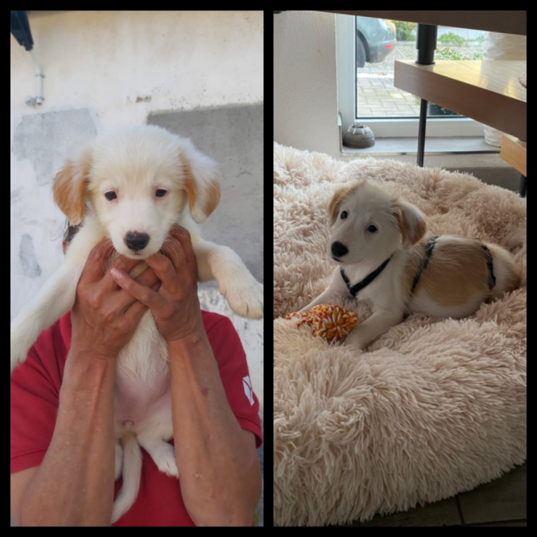 Coco, jetzt Jette