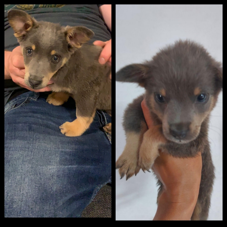 Eska