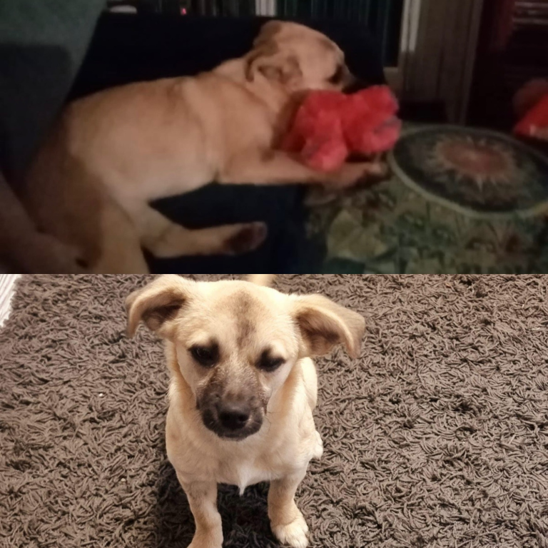 Lulu