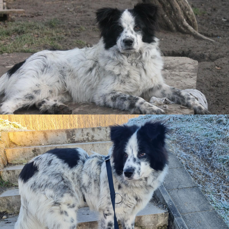 Sam