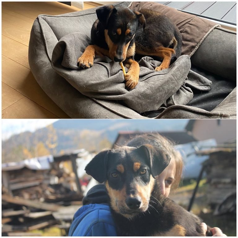 Jessica jetzt Phoebe